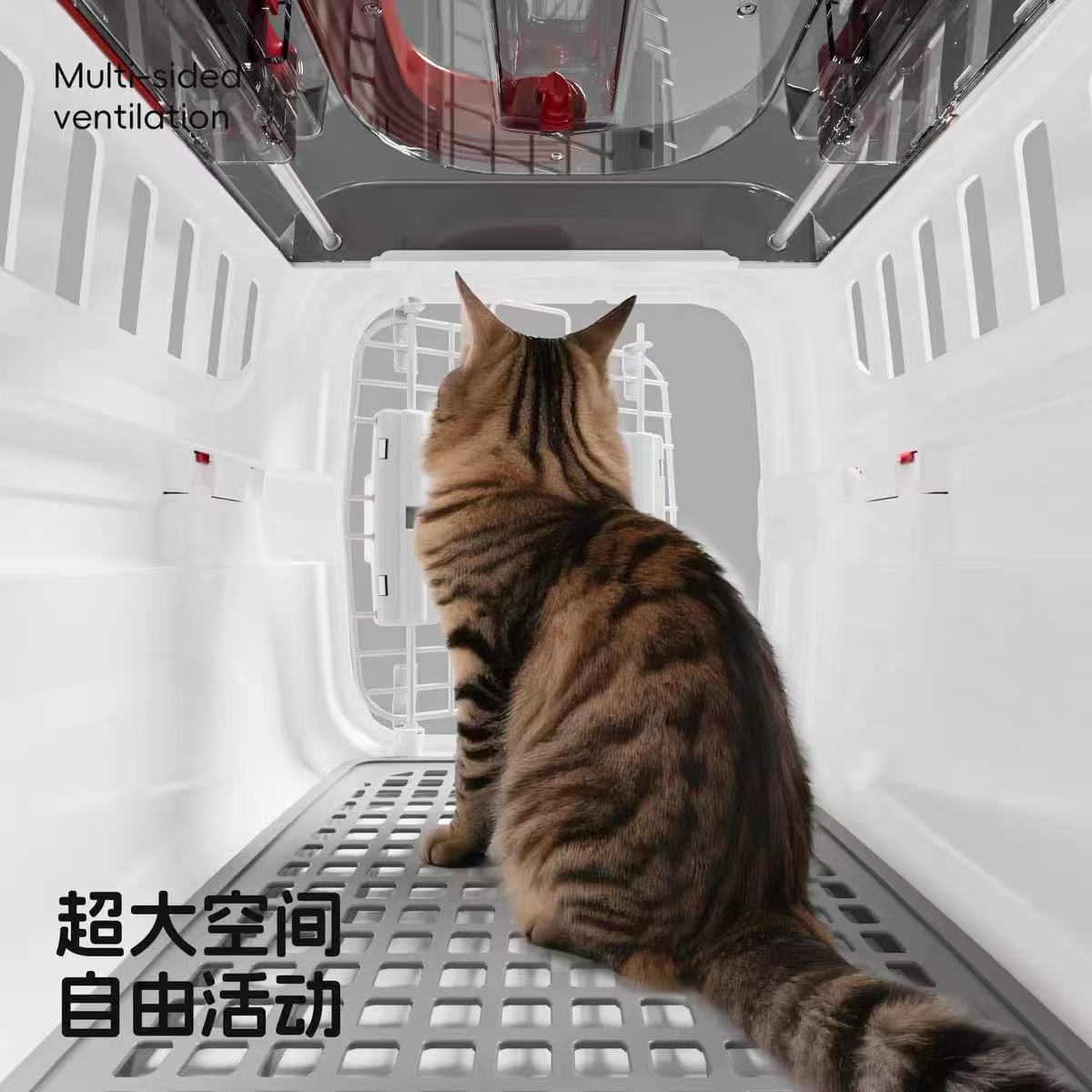 403d2677e75a5662d575eea1594a3017_1765520001_9484.jpg 403d2677e75a5662d575eea1594a3017_1765520001_9484.jpg