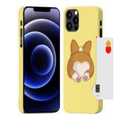 [TryCozy] 웰시코기 카드 3D곡면하드케이스