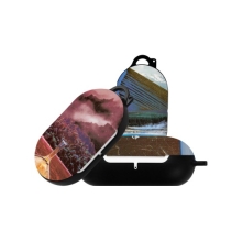 [버즈/버즈+ 하드] 환상풍경